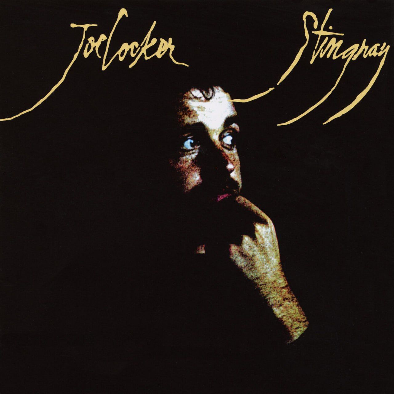Joe Cocker - Stingray (1976) [24-96]                                                          #Joe_Cocker #Blues_Rock #Pop_Rock #HiRes #przvl
