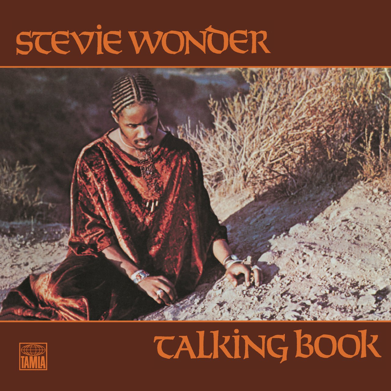 Stevie Wonder - Talking Book (1972) [24-48]