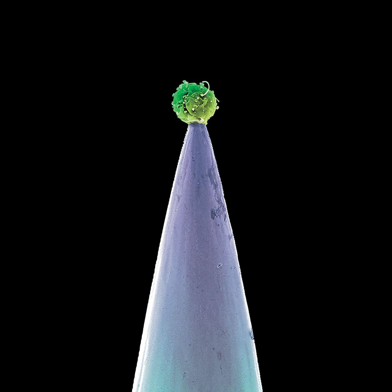 Peter Gabriel - New Blood (2011) [FLAC]