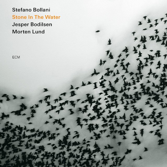 Stefano Bollani Trio - Stone In The Water (2009) [FLAC]