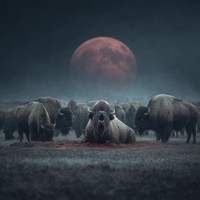 buffalo_farm — BORN_TO_DIE (2026) [FLAC]