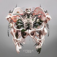 Crystal Lake — The Weight of Sound (2026) [FLAC]