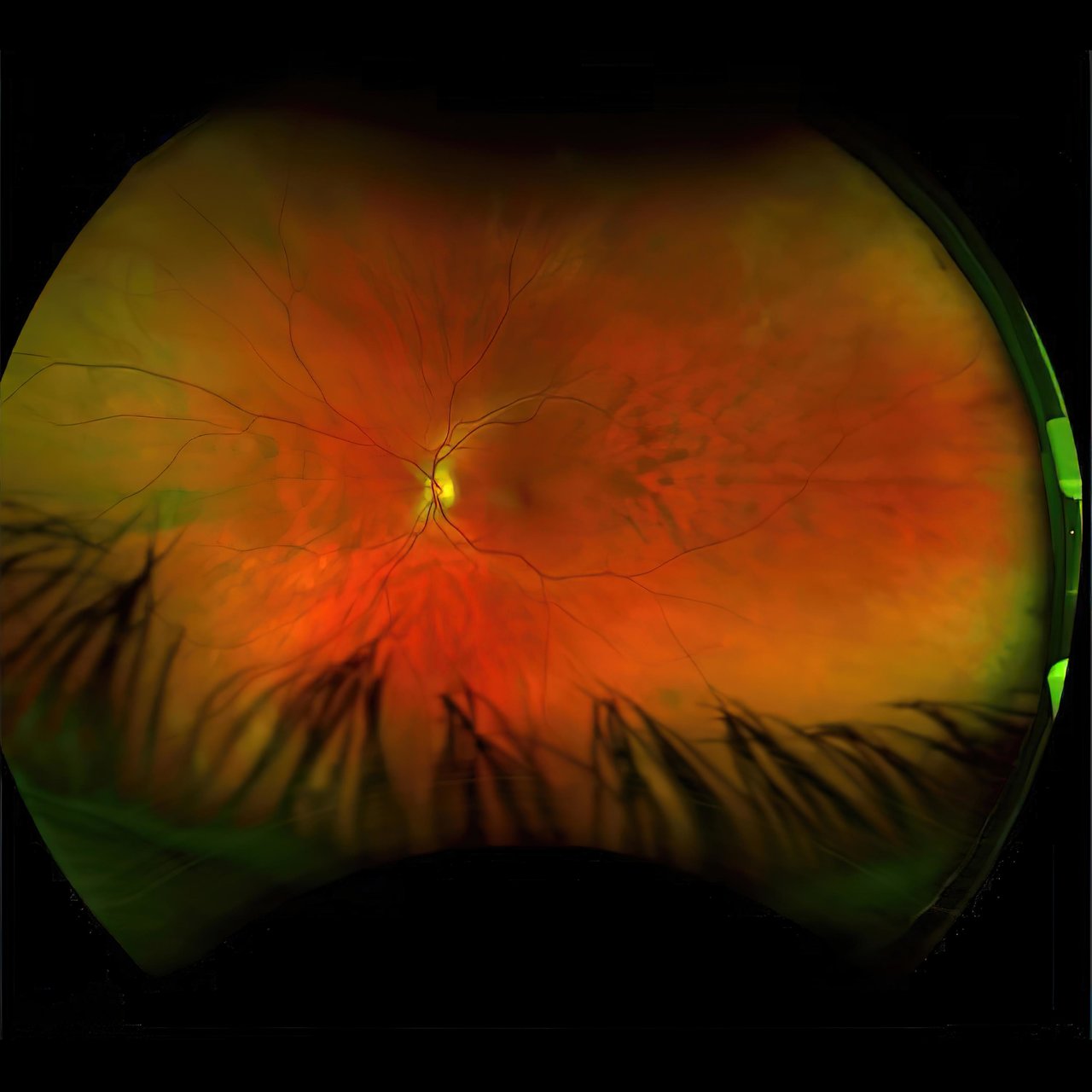 Greg Puciato — Mirrorcell (2025) [FLAC]