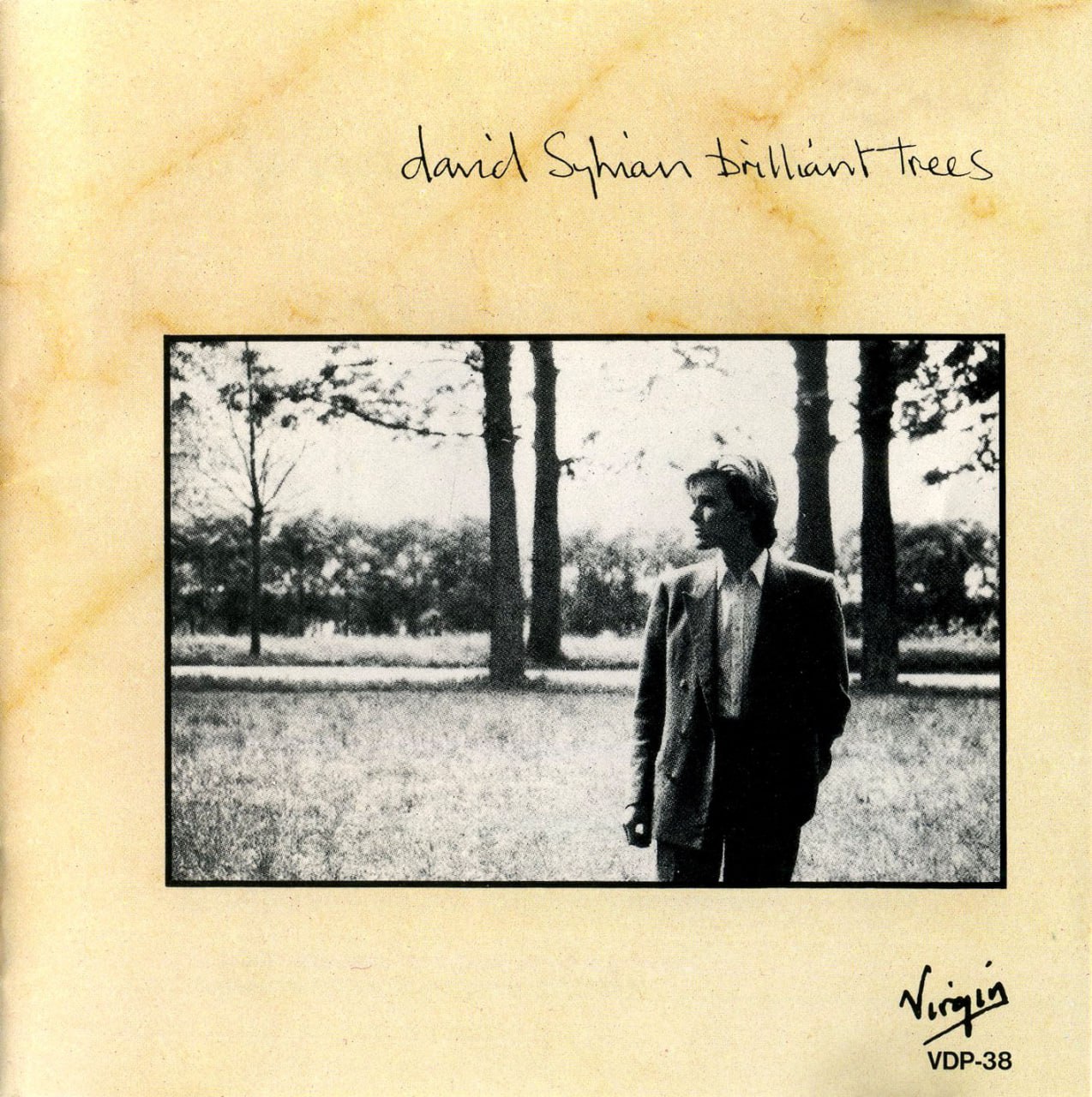David Sylvian - Brilliant Trees (1984) [FLAC]