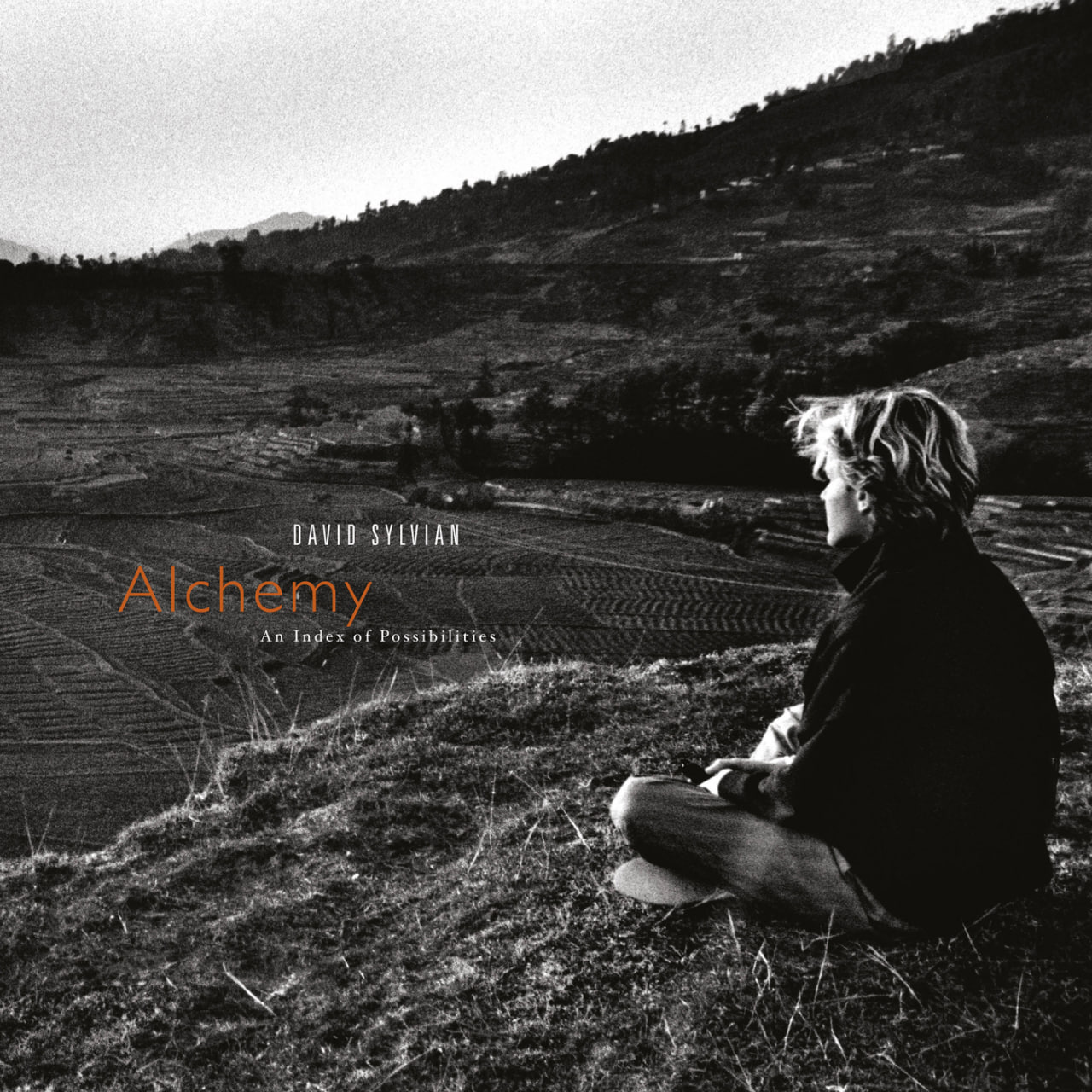 David Sylvian - Alchemy: An Index of Possibilities (1985) [FLAC]