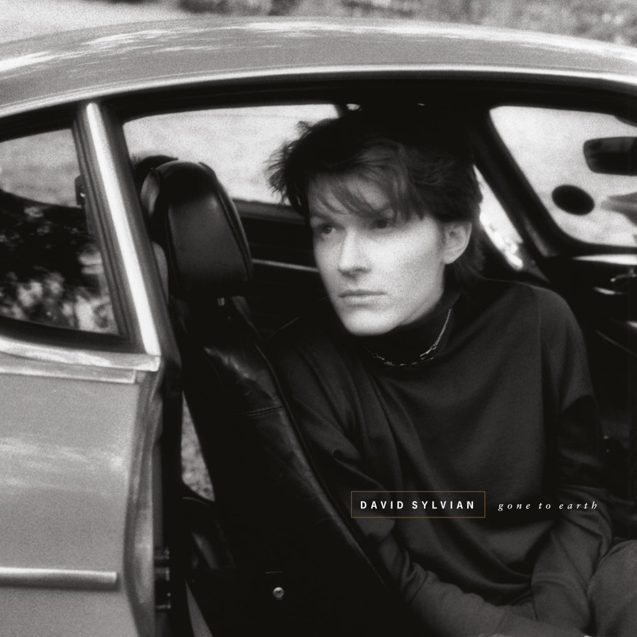 David Sylvian - Gone To Earth (1986) [FLAC]