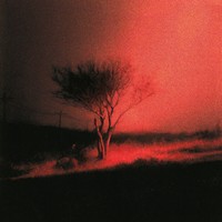 Joji — Piss In The Wind (2026) [FLAC]