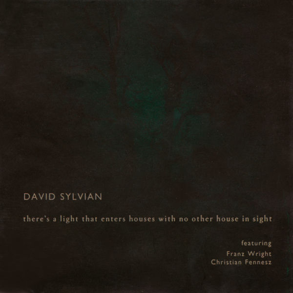 David Sylvian - There's A Light That Enters Houses With No Other House In Sight (2014) [FLAC]