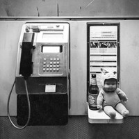 Dear Seattle — TOY (2026) [FLAC]