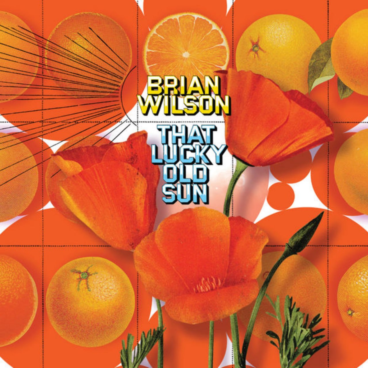 Brian Wilson - That Lucky Old Sun (2008) [FLAC]