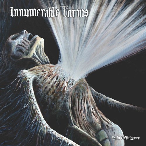 Innumerable Forms - Pain Effulgence (2025) Death⁄Doom Metal