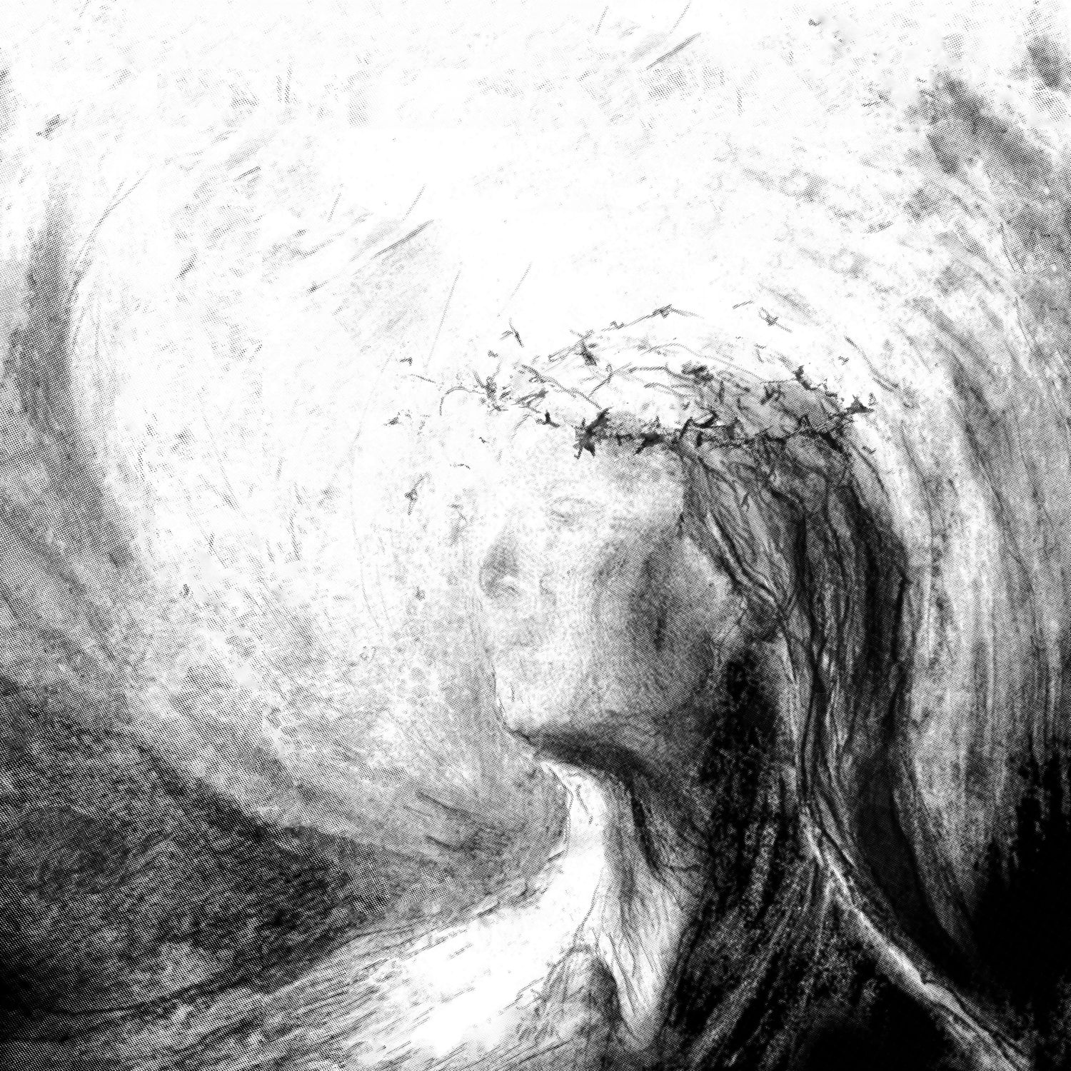 Apokatastasis - The Withering Of The Disconsolate (2024) Blackened Death Metal