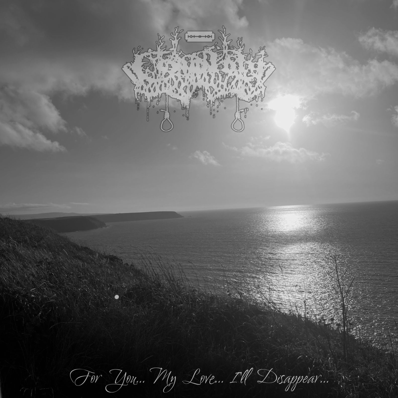 Cold July - For You​.​.​. My Love​.​.​. I'll Disappear​.​.​. (2023) Depressive Black Metal (D4)