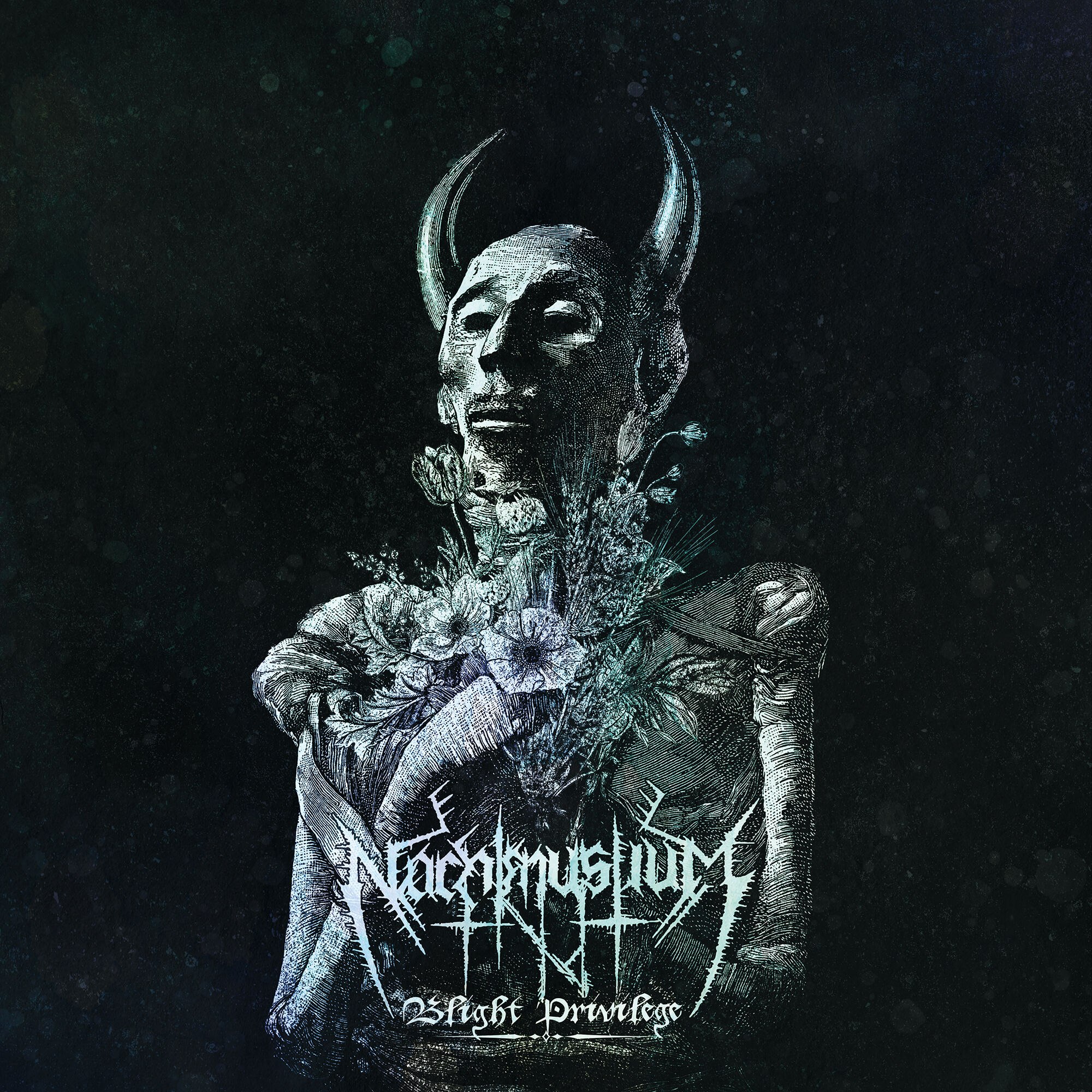 Nachtmystium - Blight Privilege (2024) Atmospheric⁄Psychedelic Black Metal