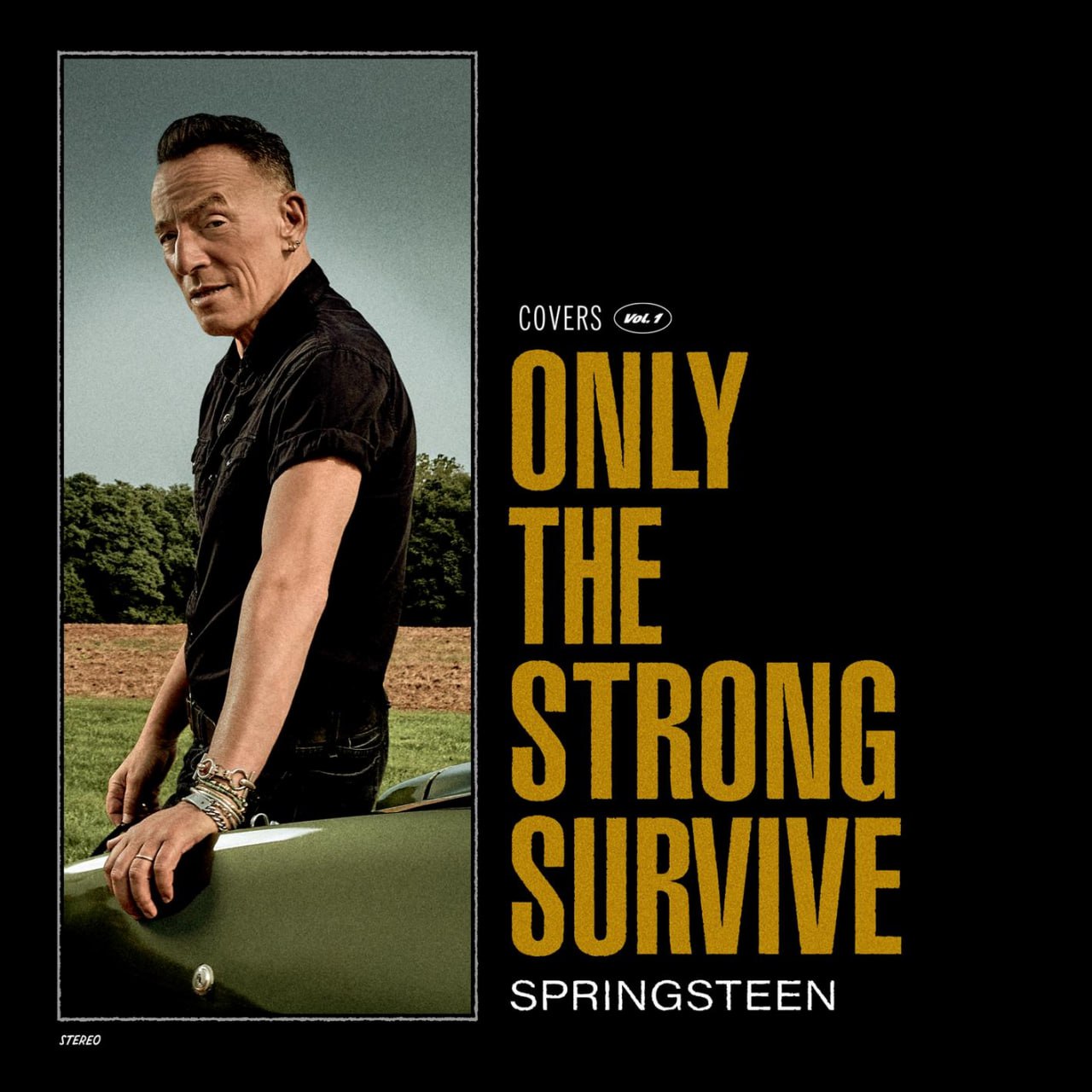 Bruce Springsteen - Only the Strong Survive (2022) [FLAC]