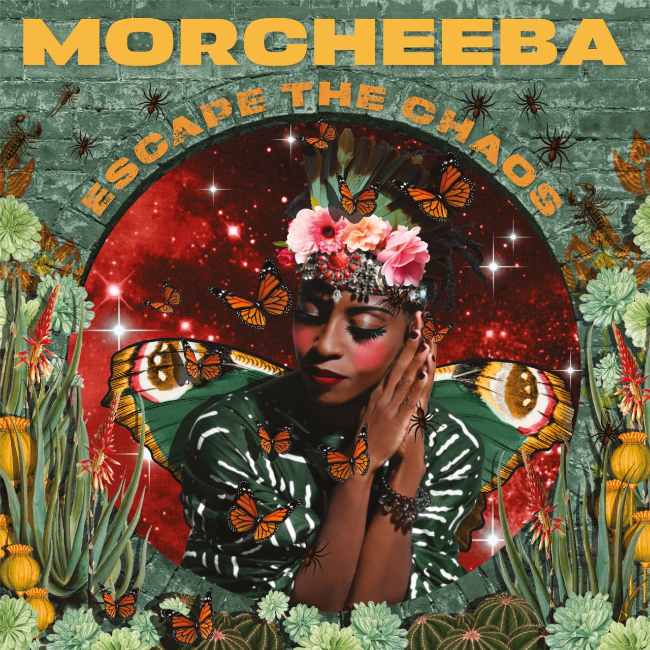 Morcheeba - Escape The Chaos (2025) [FLAC]