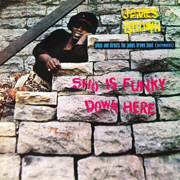 James Brown - Sho Is Funky Down Here (1971) [FLAC]