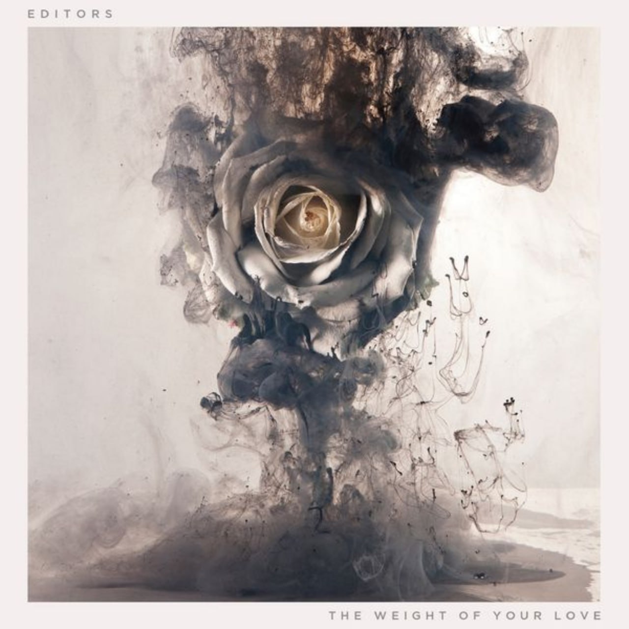Editors - The Weight of Your Love (2013) [FLAC]