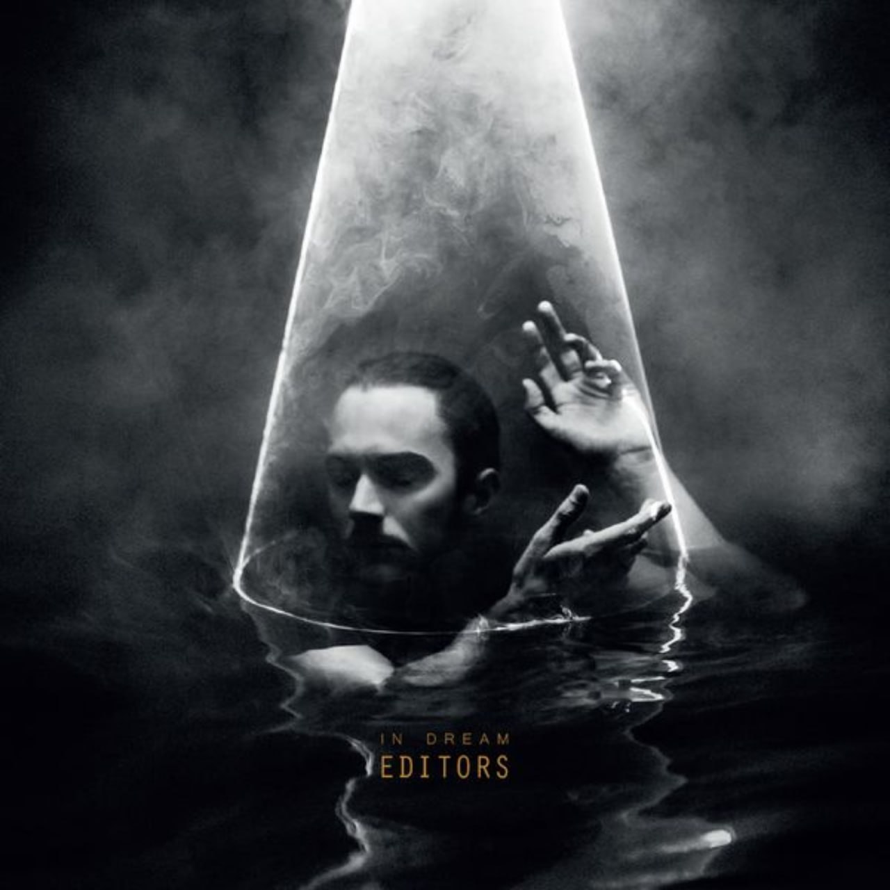 Editors - In Dream (2015) [FLAC]