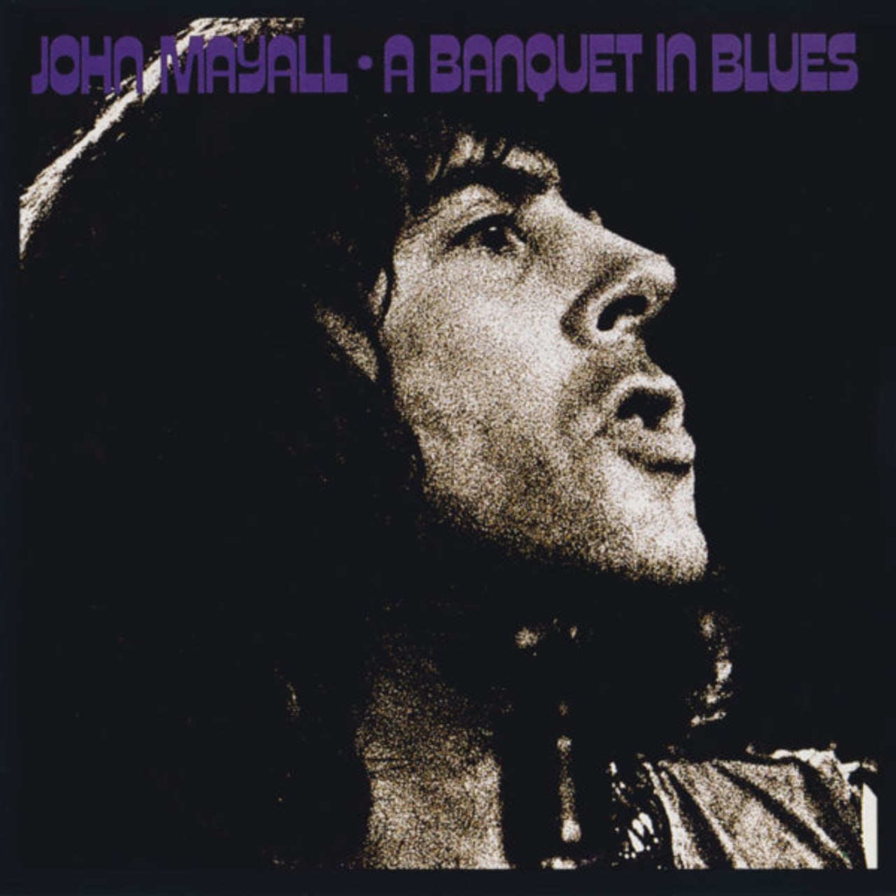 John Mayall - A Banquet In Blues (1976) [FLAC]