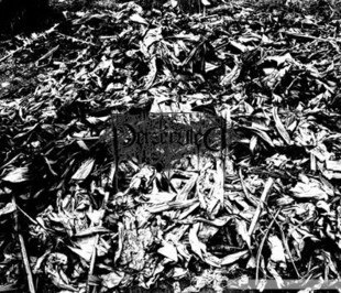 Be Persecuted - 2010 Demo [demo] (2010) Depressive Black Metal