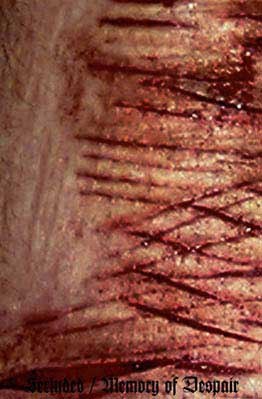 I'm In A Coffin - Secluded⁄Memory Of Despair [demo] (2012) Depressive Black Metal (D4)