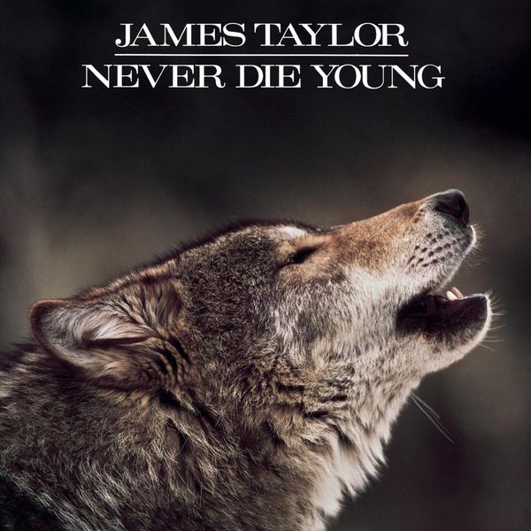 James Taylor - Never Die Young (1988) [FLAC]