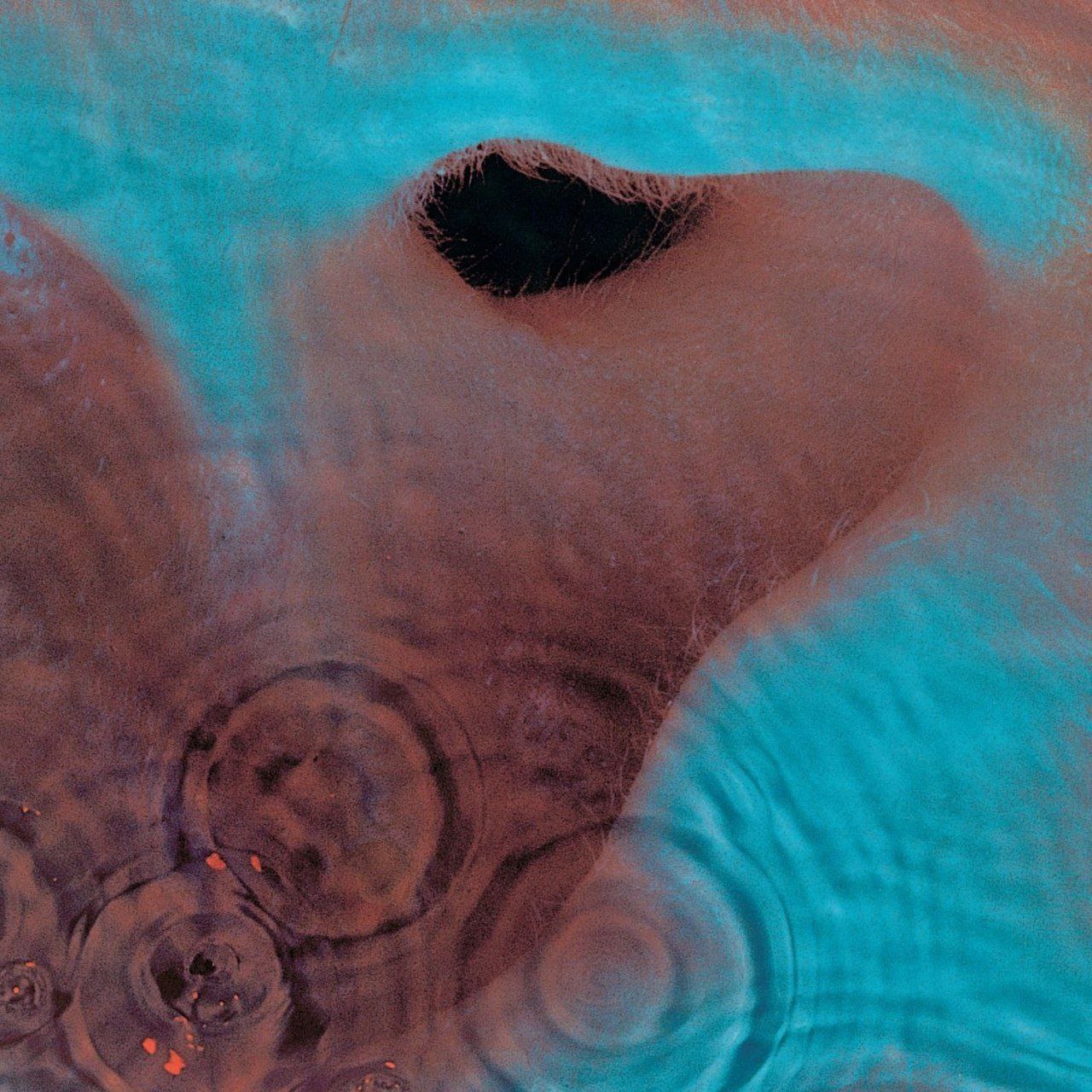 Pink Floyd - Meddle (1971) LP [DSD]