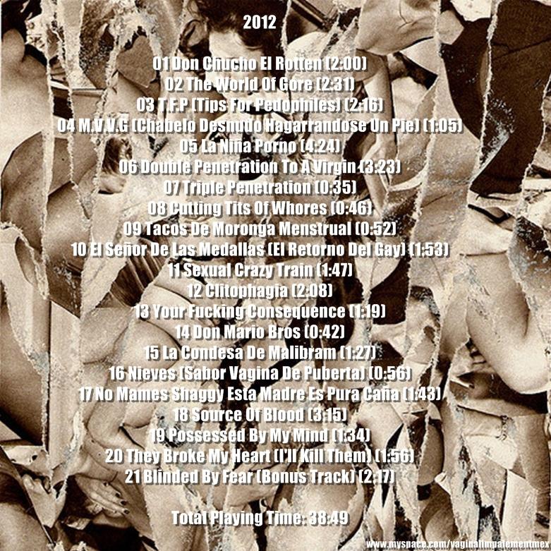 Vaginal Impalement - Porn Collage (2012) Goregrind⁄Porngrind