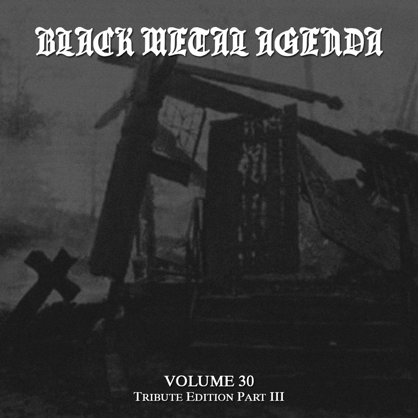 Various Artists - Black Metal Agenda Volume 30; Tribute Edition Part II [best of⁄compilation] (2011) Black Metal (D1274)