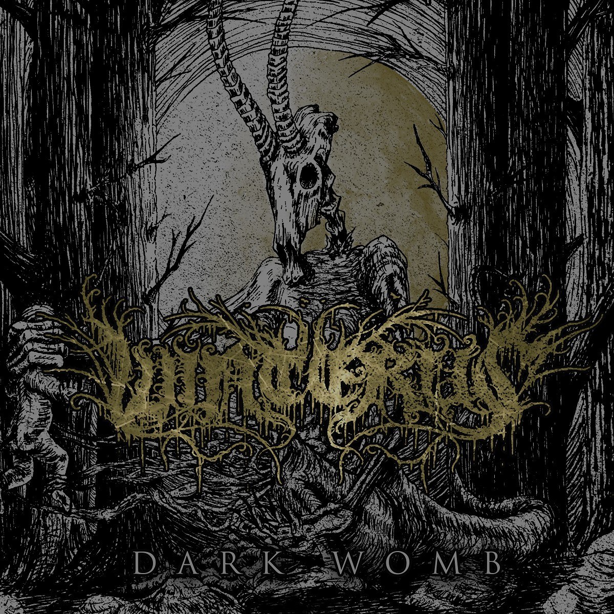 Winterus - Dark Womb (2013) Progressive Black Metal