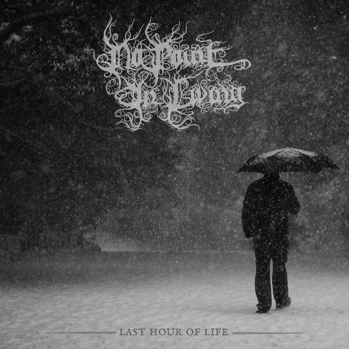 No Point In Living - Last Hour Of Life (2018) Depressive Black Metal