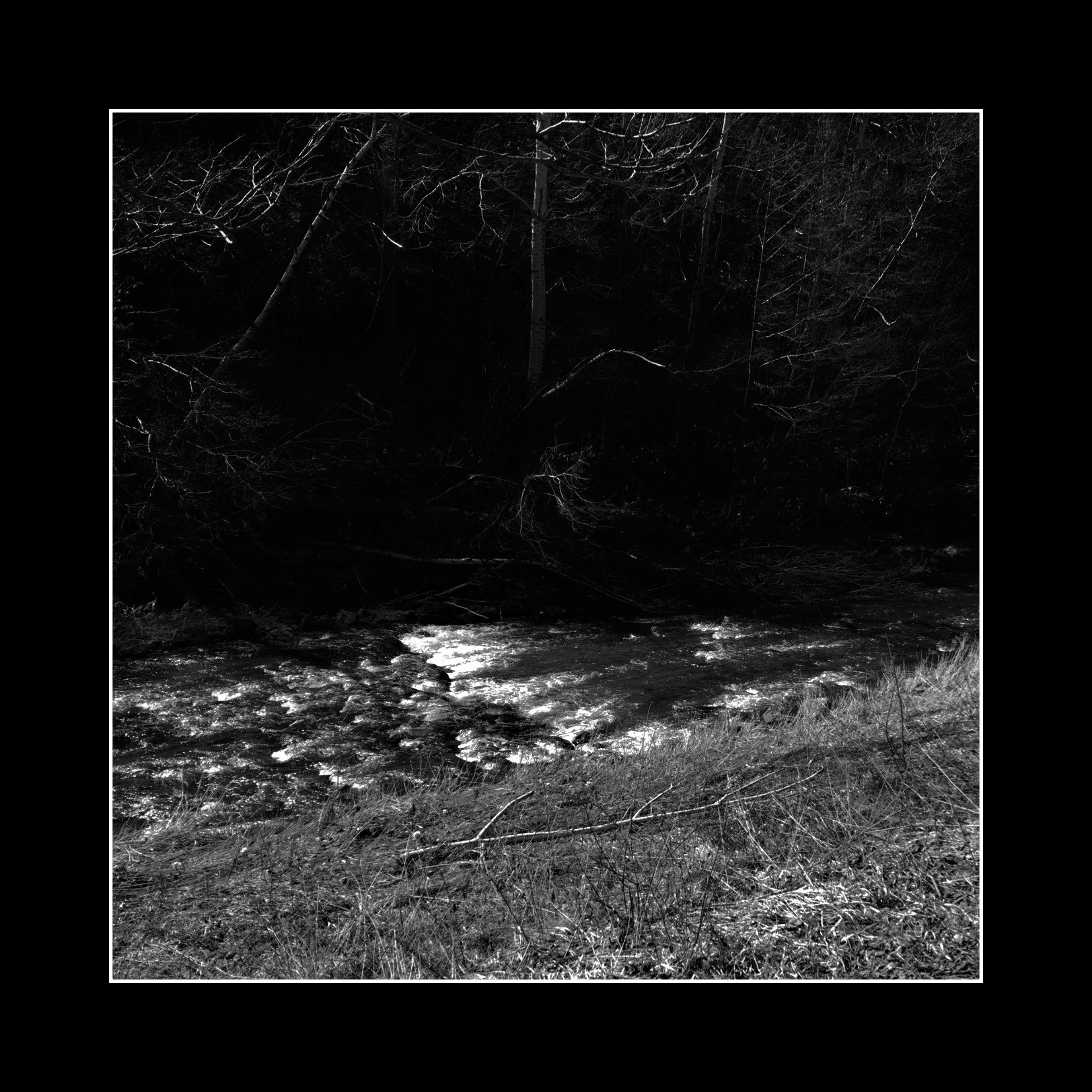 No Point In Living - Last Moments [ep] (2019) Depressive Black Metal