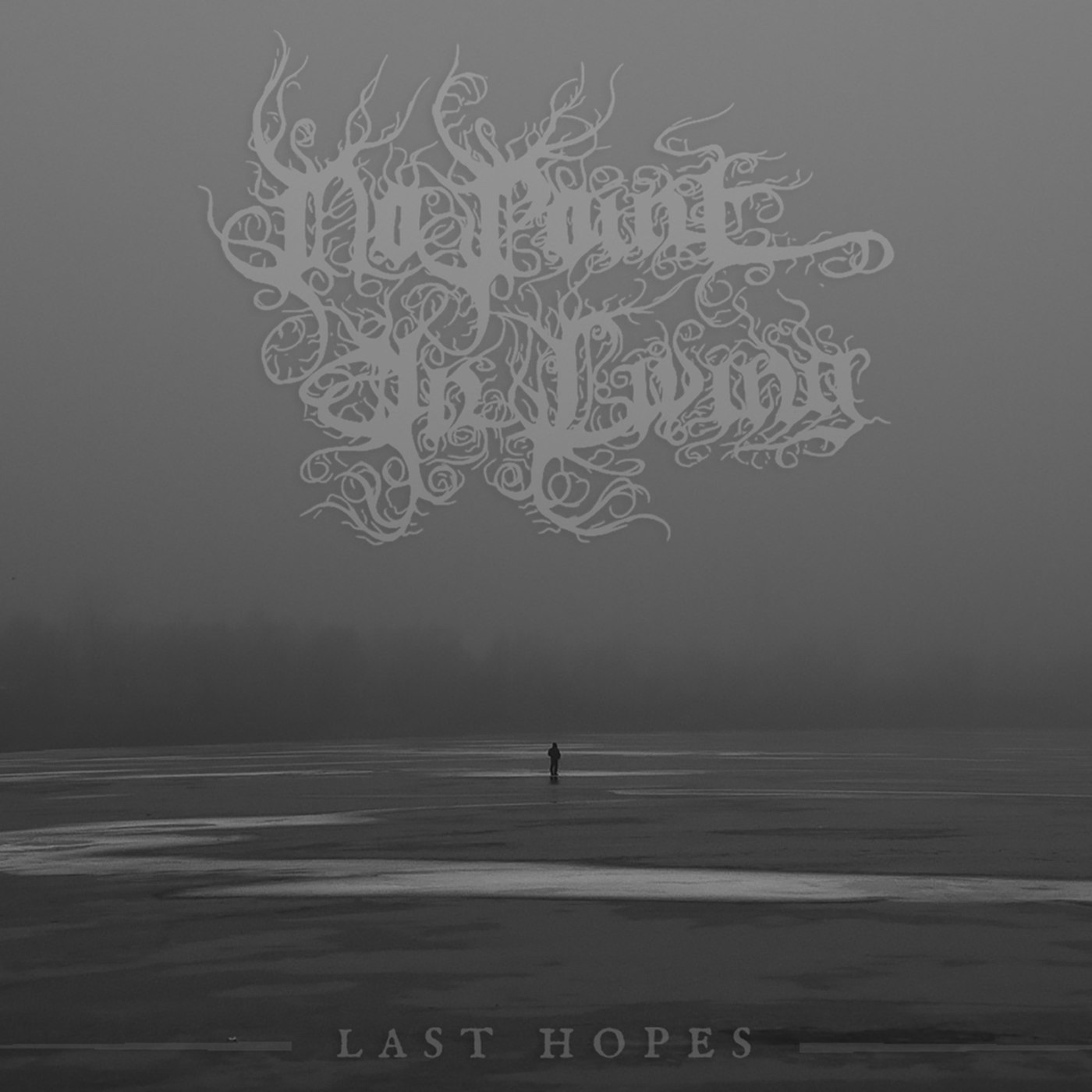 No Point In Living - Last Hopes (2019) Depressive Black Metal