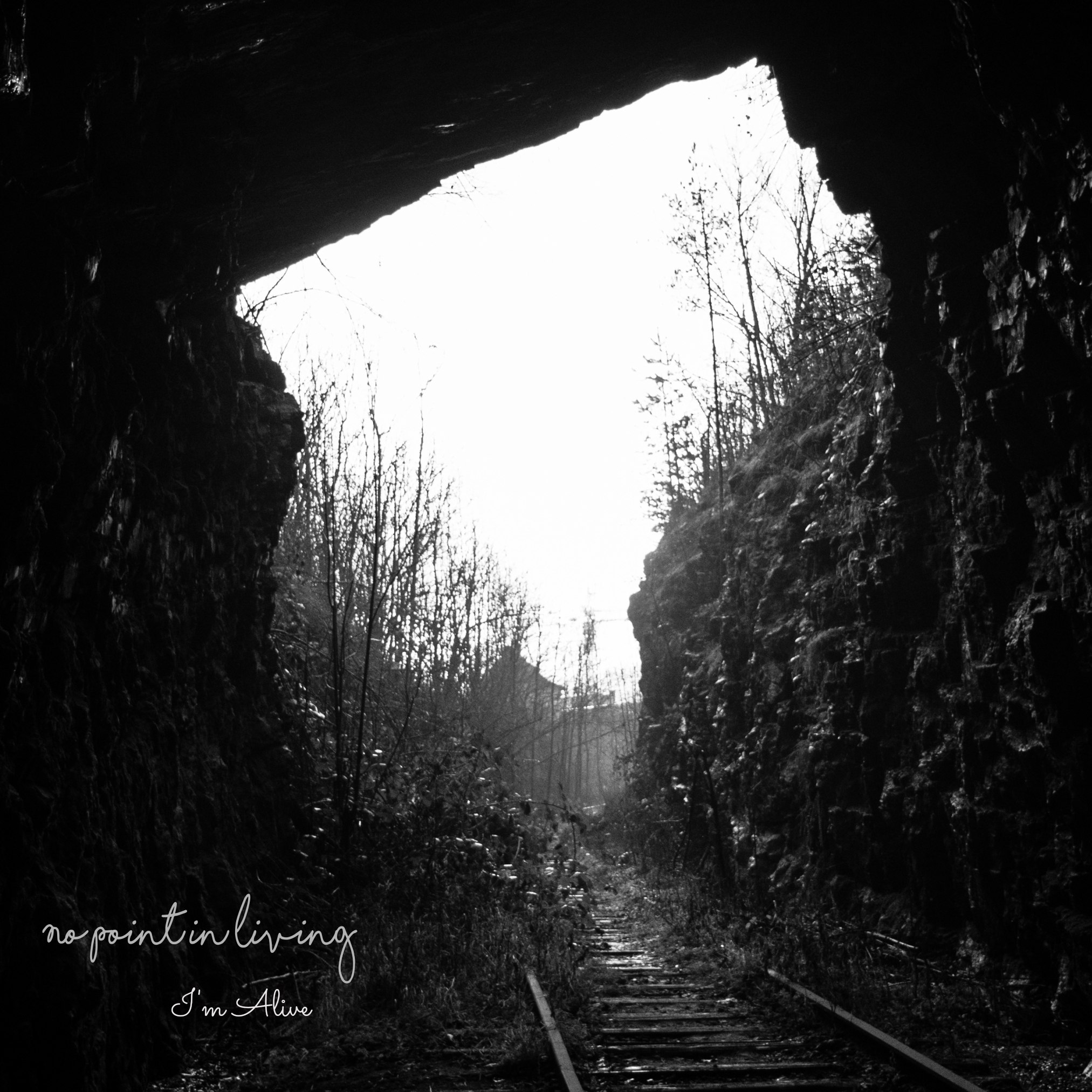 No Point In Living - I'm Alive (2018) Depressive Black Metal