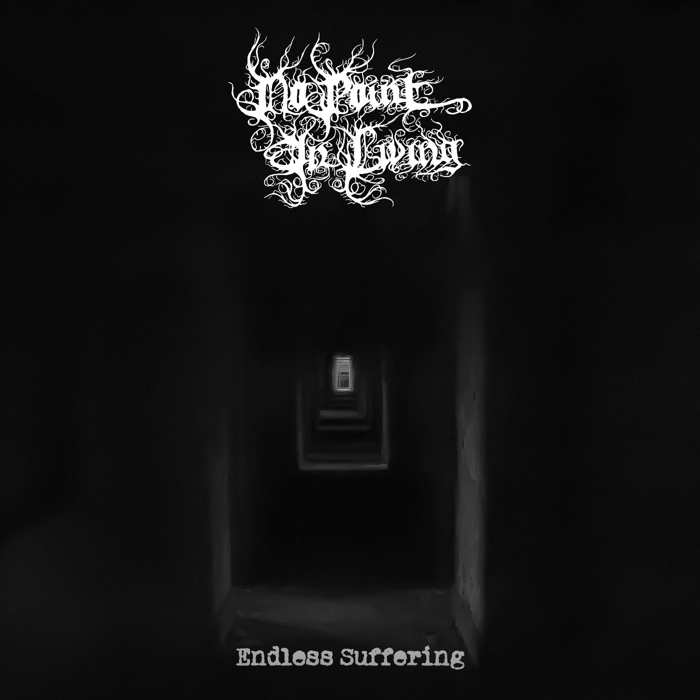 No Point In Living - Endless Suffering (2018) Depressive Black Metal
