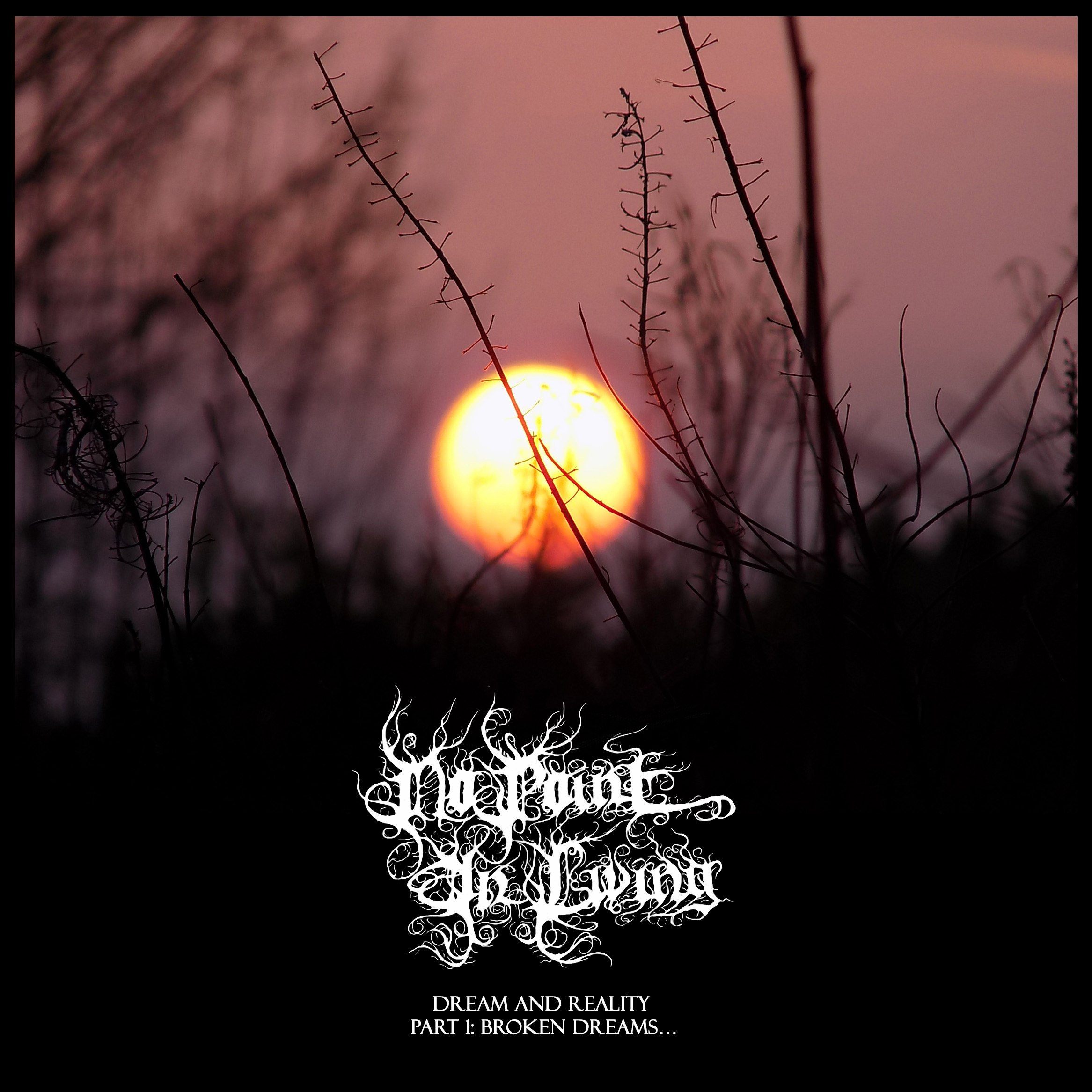 No Point In Living - Dream And Reality Part 1; Broken Dreams... (2018) Depressive Black Metal