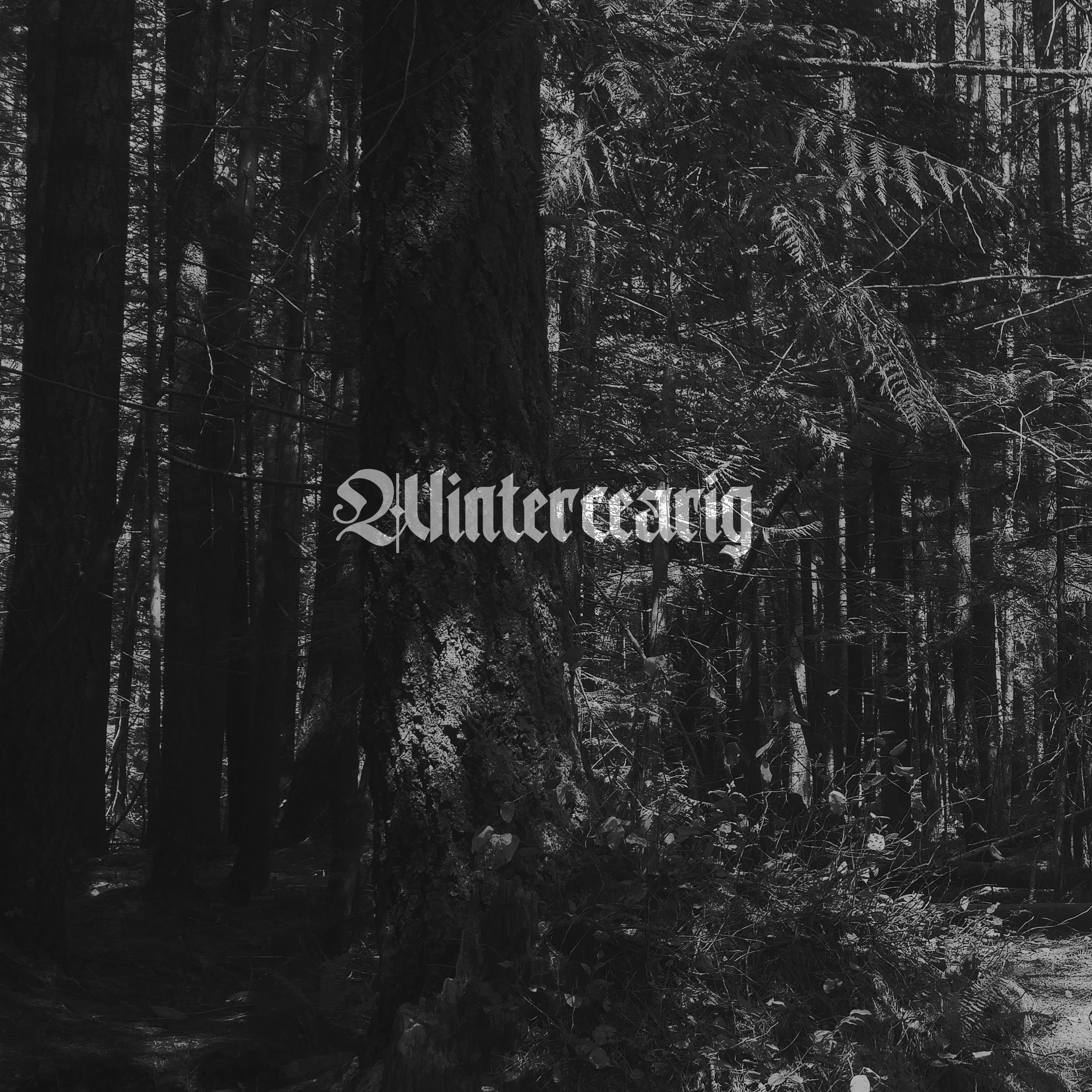 Wintercearig - To Nowhere [ep] (2019) Atmospheric Black Metal