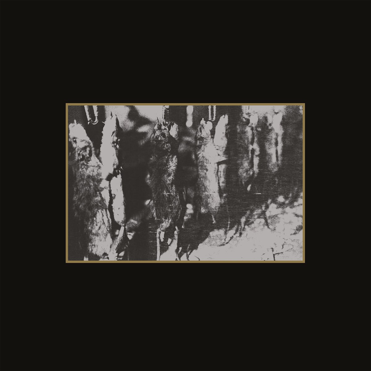 Various Artists - Ancient Meat Revived - A Tribute To Cold Meat Industry [compilation] (2016) Black⁄Death Metal⁄Ambient