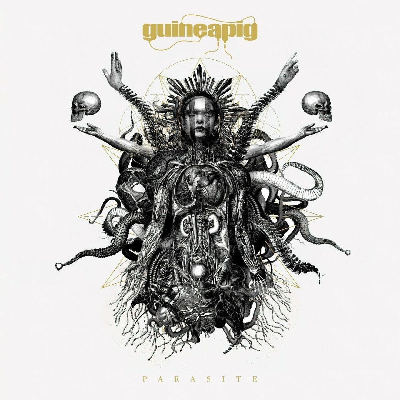 Guineapig - Parasite (2022) Goregrind (D4)