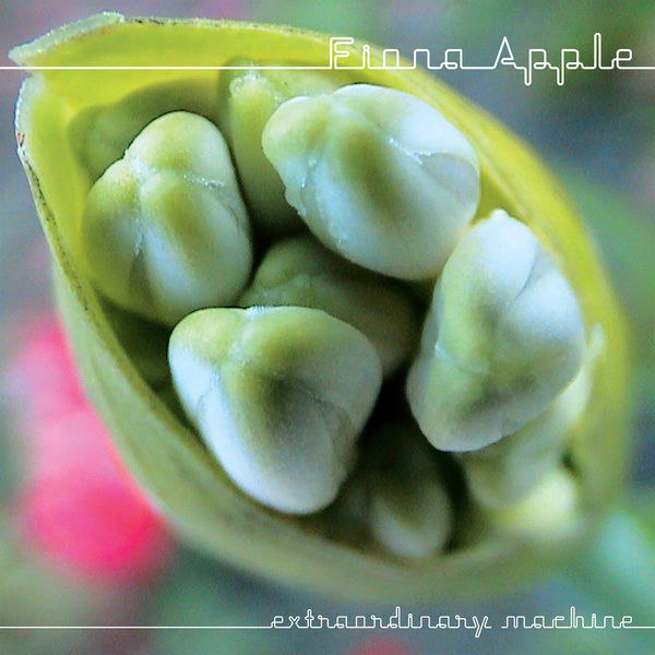 Fiona Apple - Extraordinary Machine (2007) [FLAC]