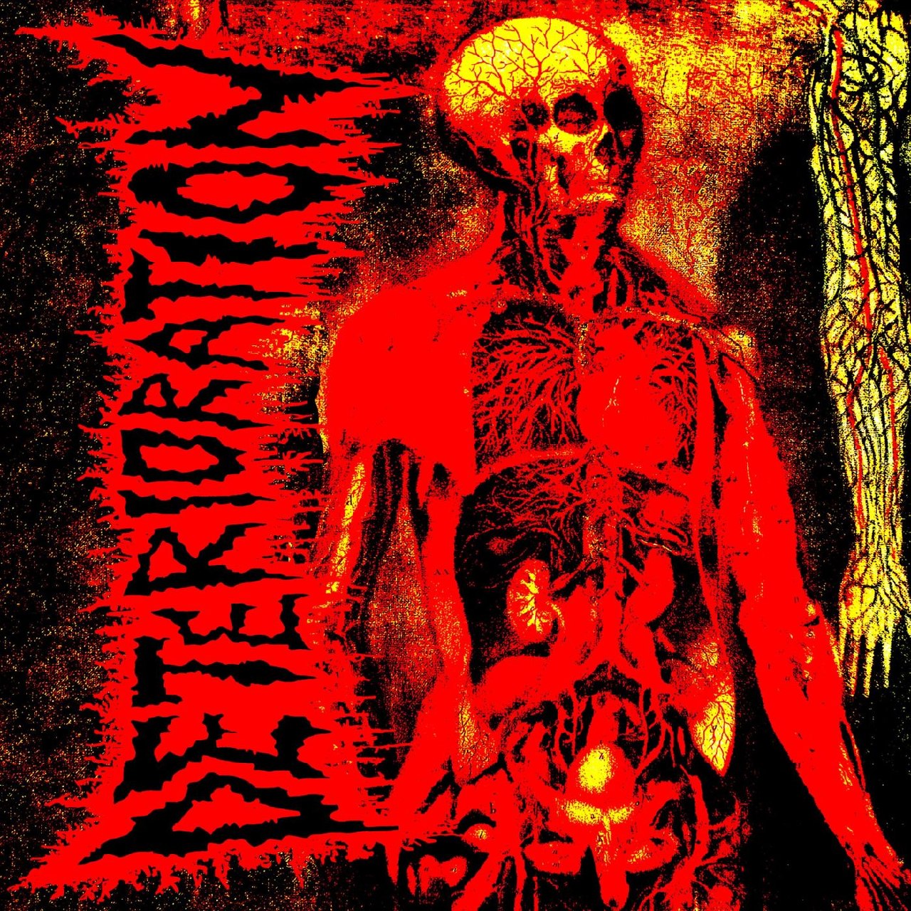 Deterioration - Transcending Human Confines [ep] (2021) Brutal Death Metal⁄Grindcore (D8)