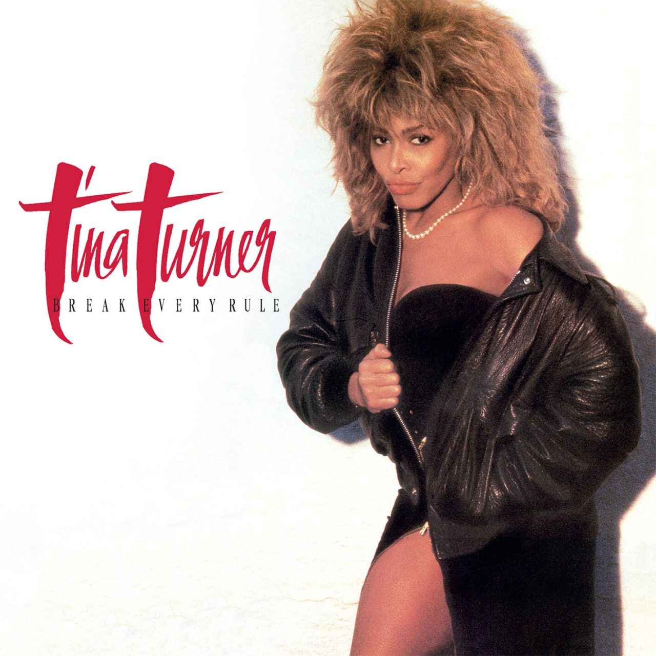 Tina Turner - Break Every Rule (1986,Remaster 2022) [FLAC]
