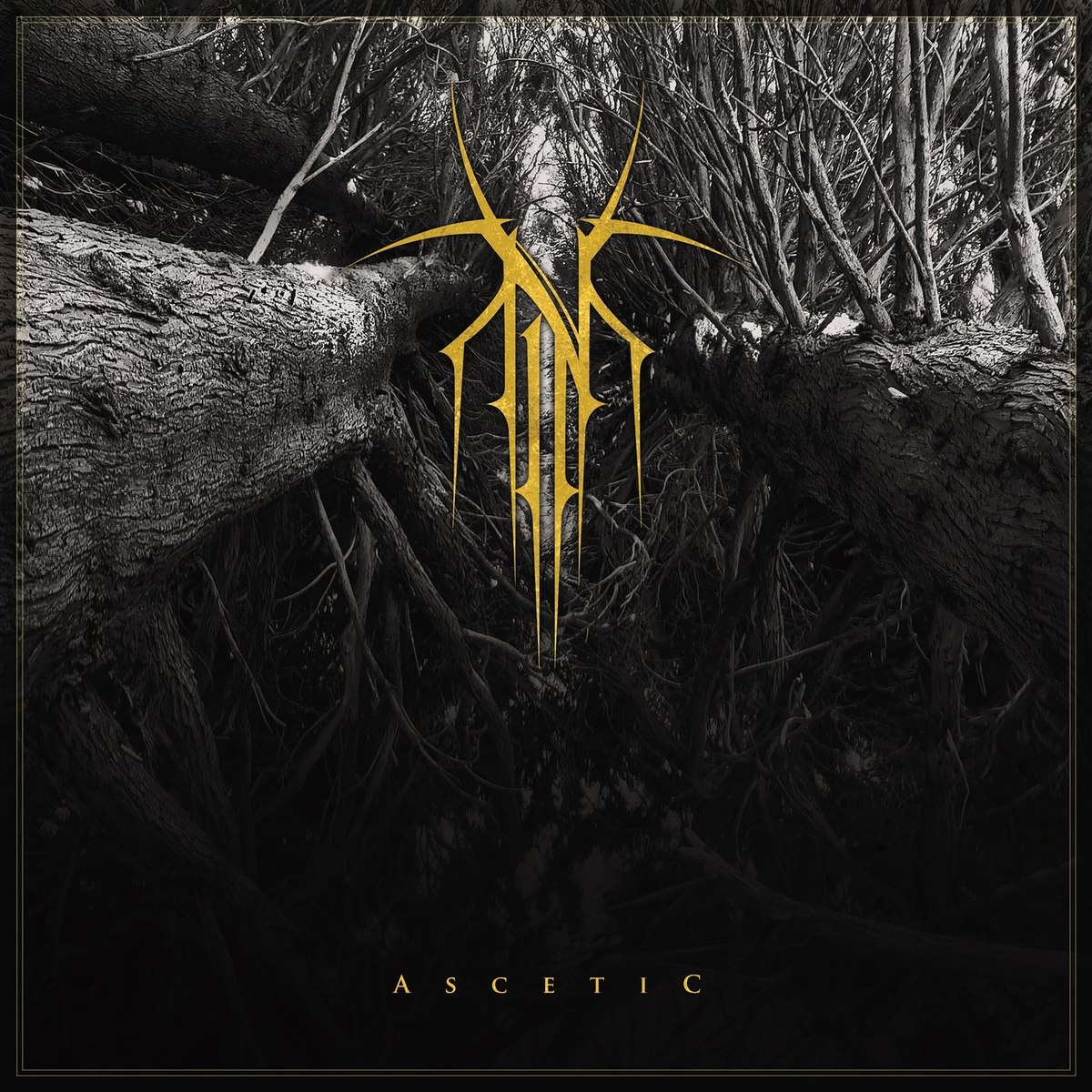 Norse - Ascetic (2021) Black Metal (D5)