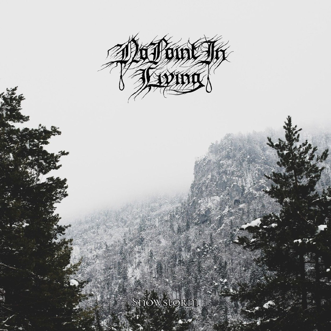 No Point In Living - Snowstorm (2021) Progressive⁄Black Metal (D)