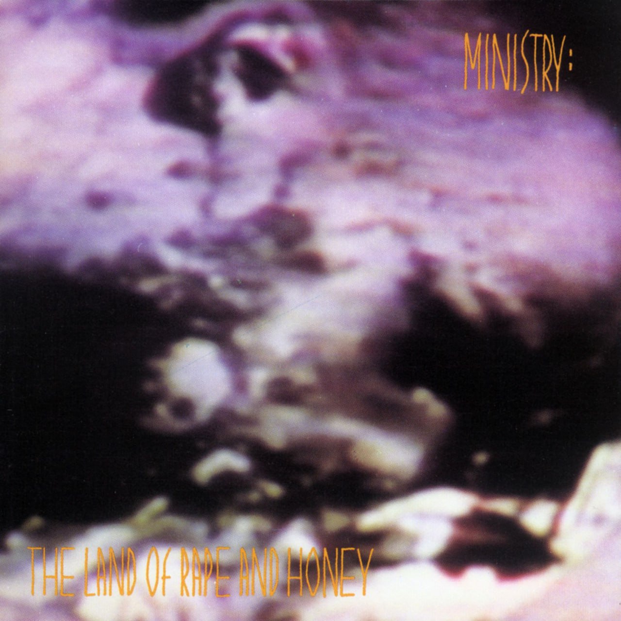 Ministry - The Land Of Rape And Honey (1988) [FLAC]