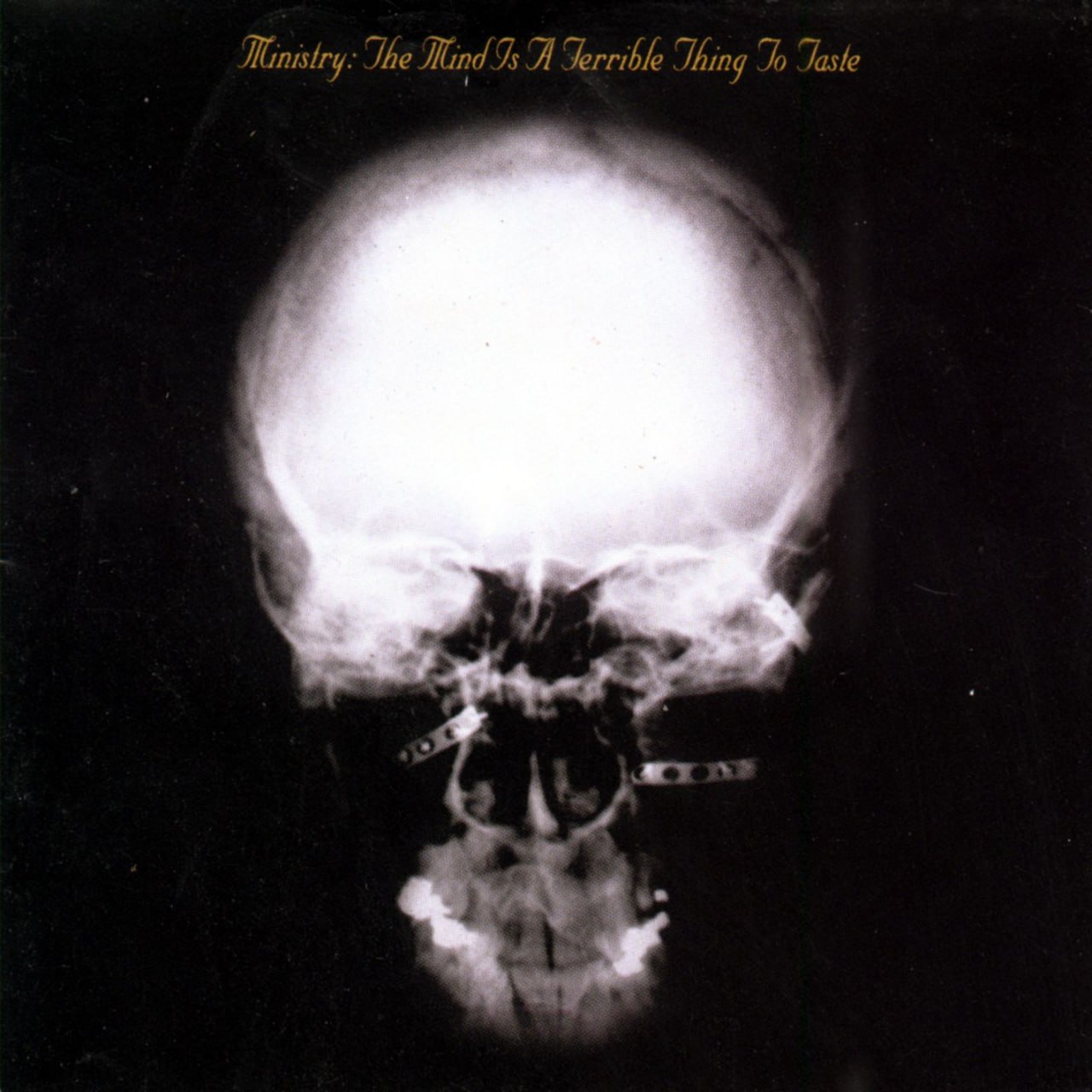 Ministry - The Mind Is a Terrible Thing to Taste (1989) [FLAC]