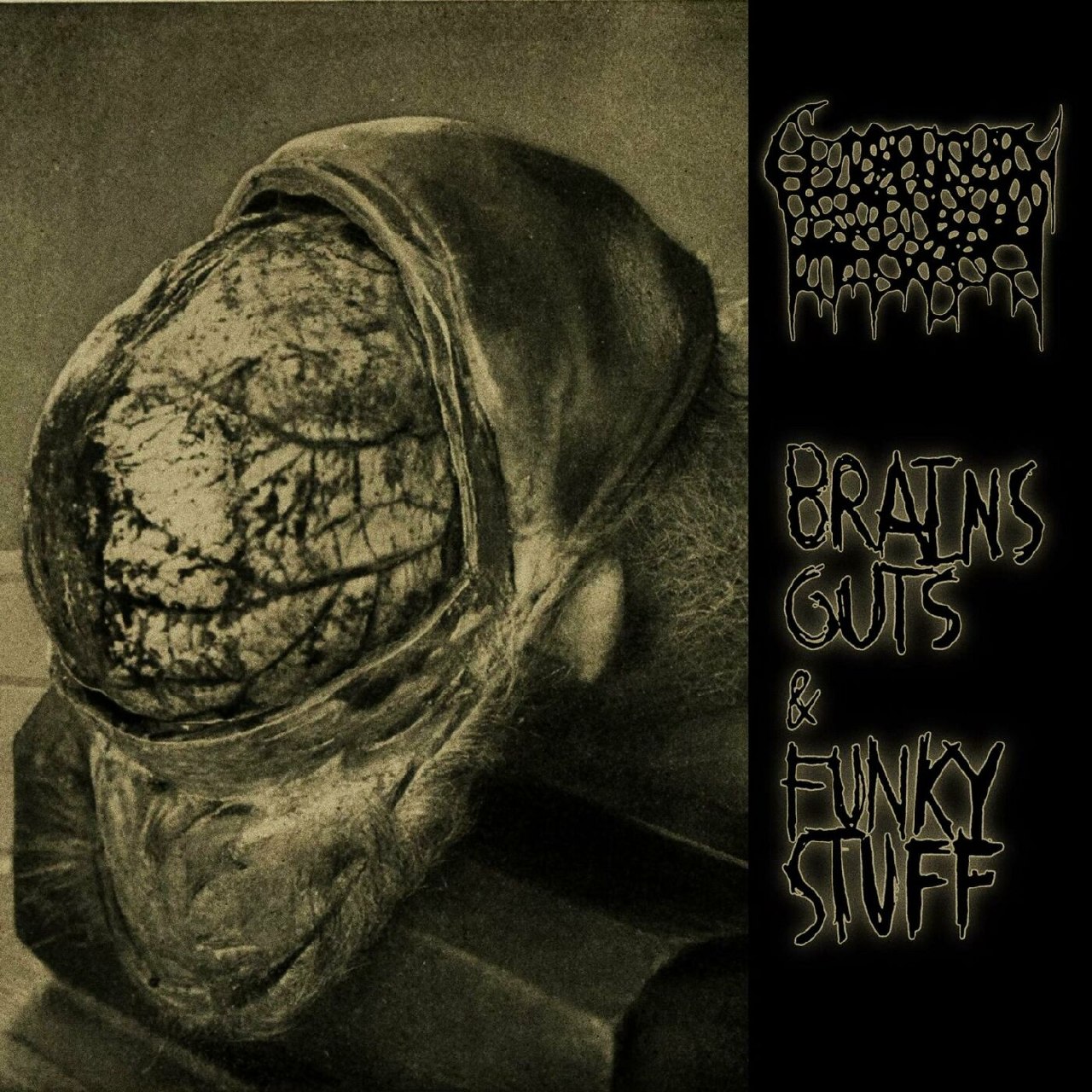 Genophobic Perversion - Brains, Guts, And Funky Stuff [ep] (2023) Brutal Death Metal⁄Goregrind (D6)