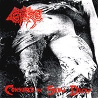 Excrementory Grindfuckers - Guts, Gore & Grind (2001) Grindcore