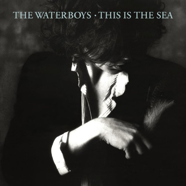The Waterboys - This Is The Sea (1985) [FLAC]